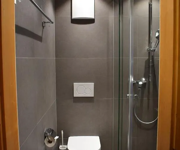 ベッド・アンド・ブレックファスト Stiffler-huus ダヴォス・プラッツ