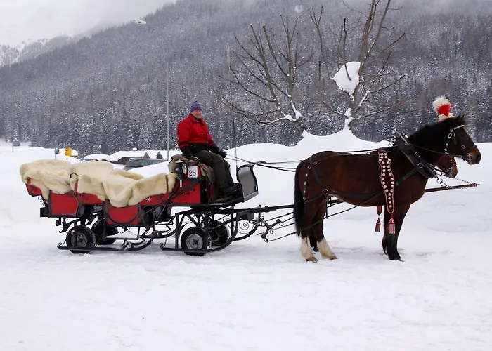 Stiffler-huus ダヴォス・プラッツ